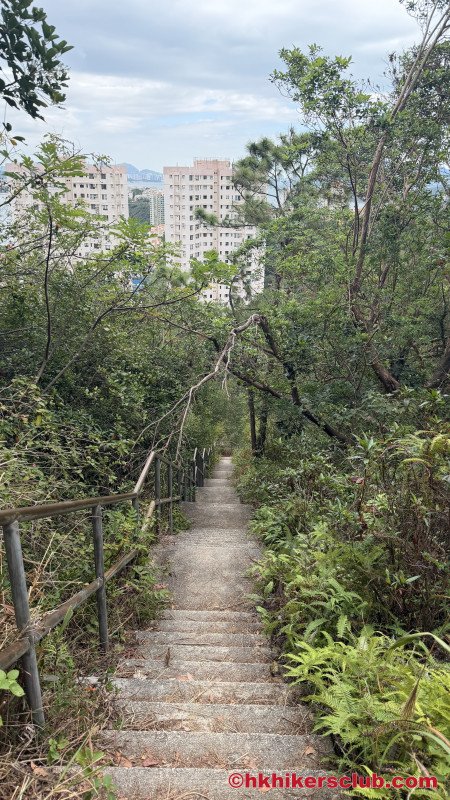 Discovery Bay to Tigers Head