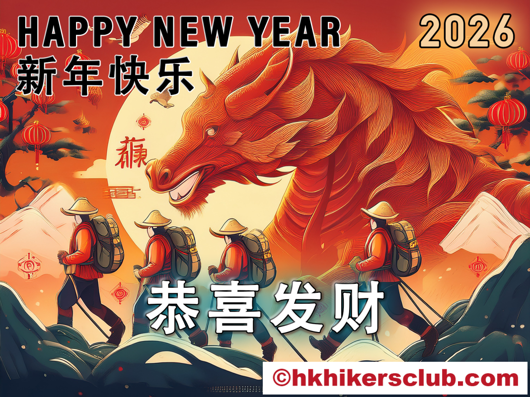 Happy Chinese New Year! 新年快乐