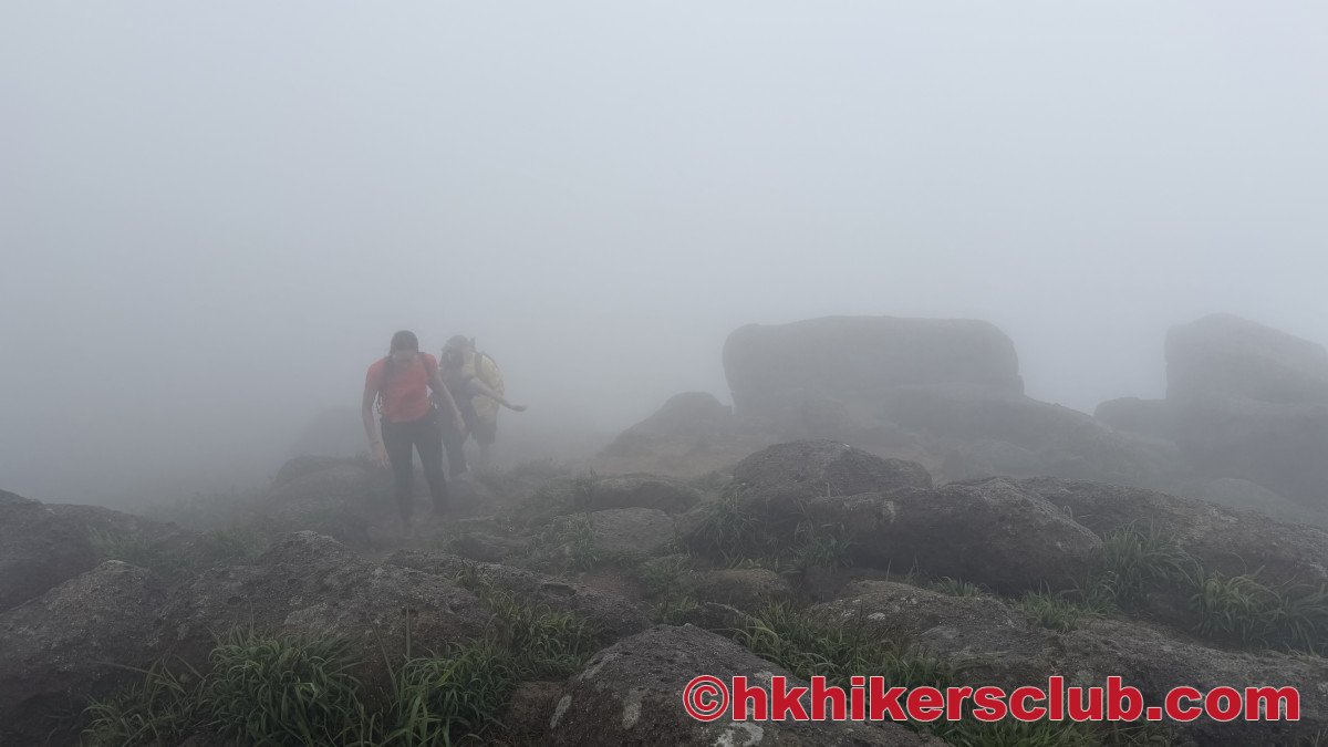 A Cloud-Wrapped Journey Over Lantau: Tung Chung to Mui Wo via Sunset Peak