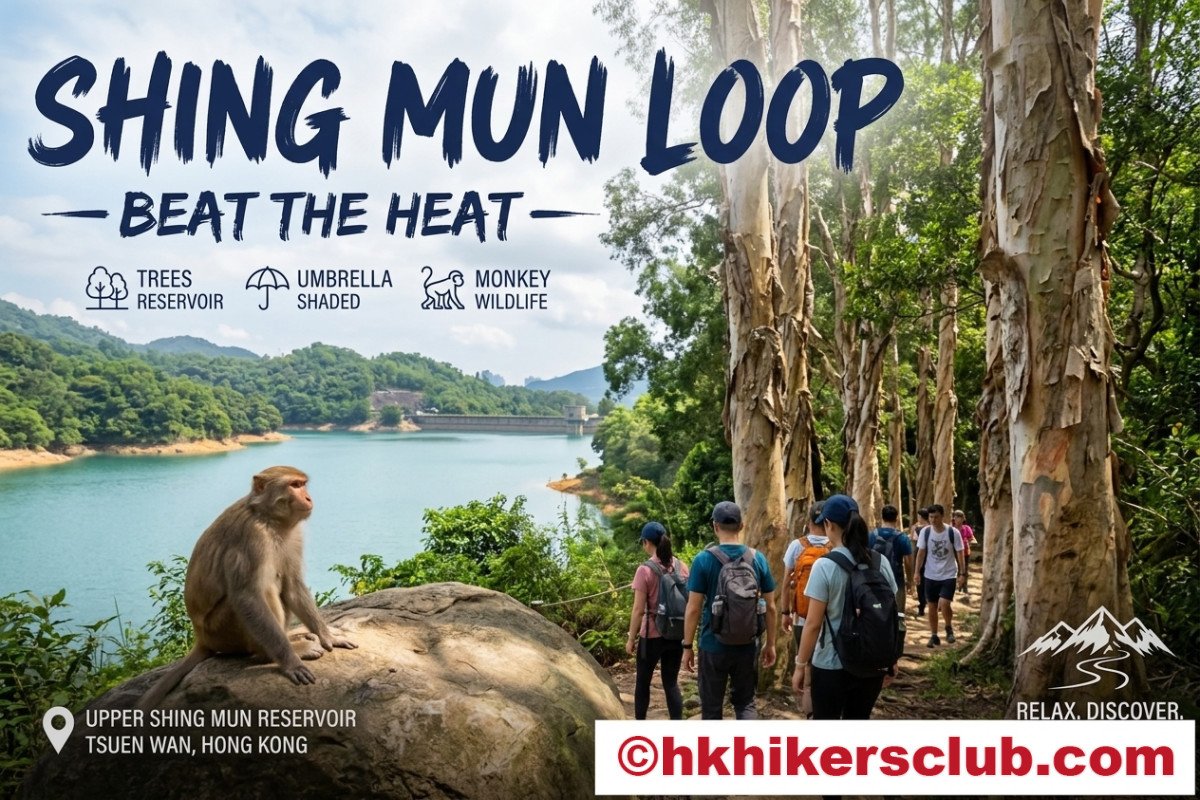 Beat the Heat: Shing Mun Loop
