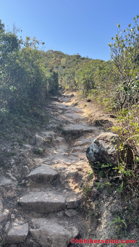What most of the trail is like