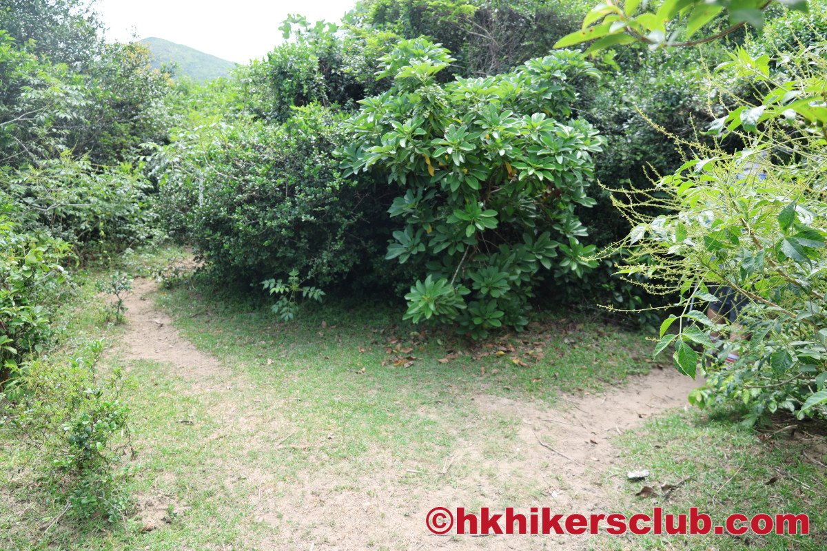 When you reach this, go to the right path and follow it to Chek Keng