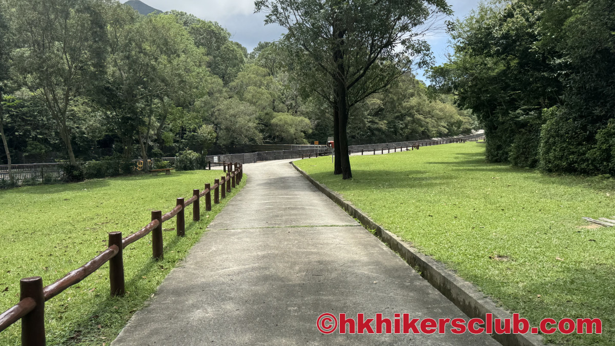 Walk down the path