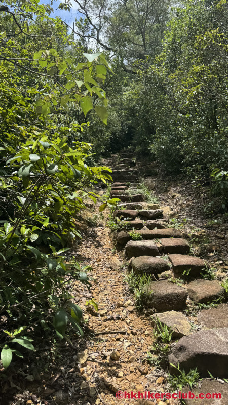 This first set of stairs go up for a little while