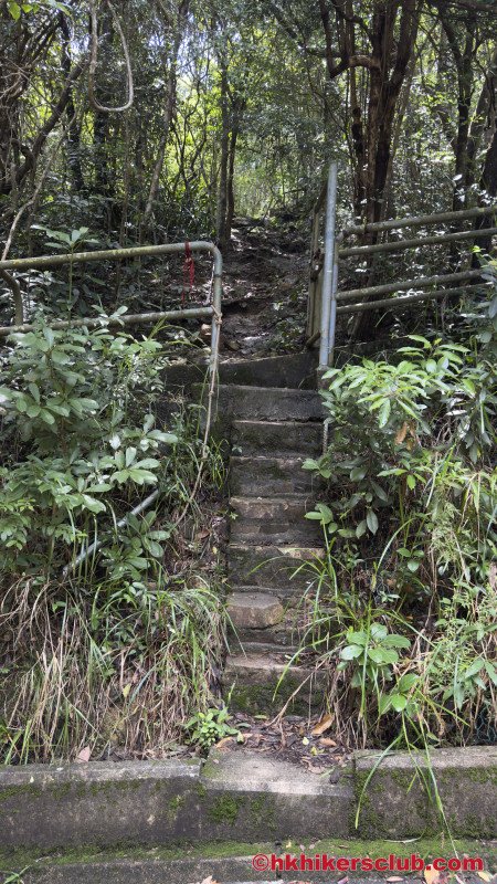 Watch for this trail on the side of the main pathway 