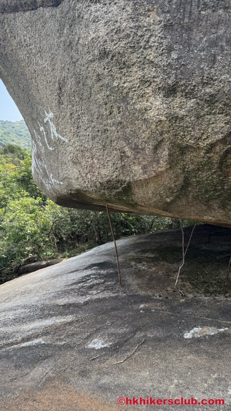 Those are some strong sticks!