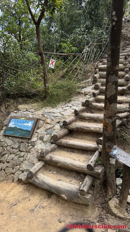 The short climb up the the lookout 