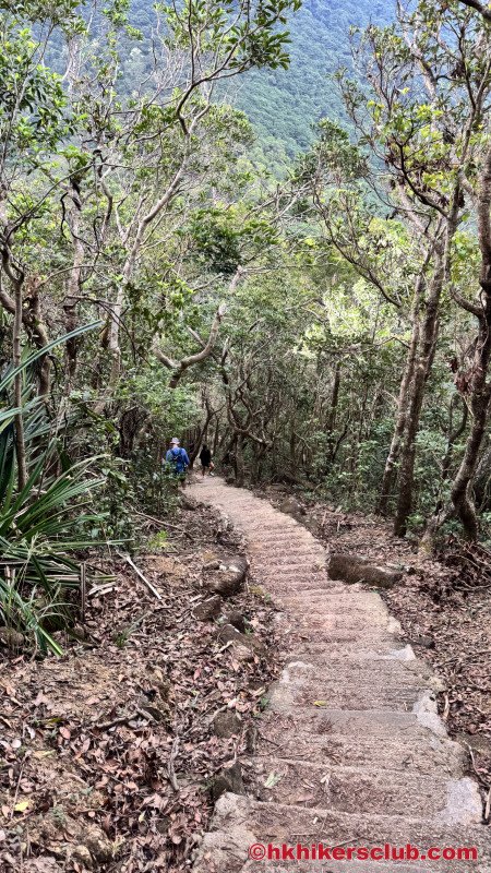 Stairs going down…..be careful 