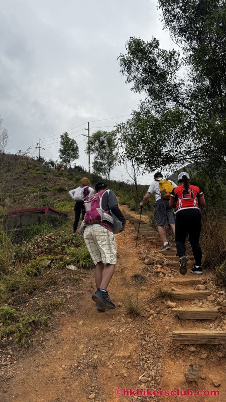The very old and broken stairs 