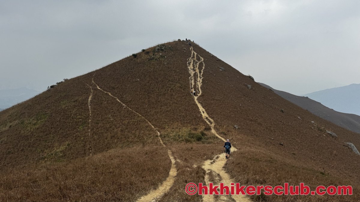 Pictures cannot do justice but these climbs are steep. 