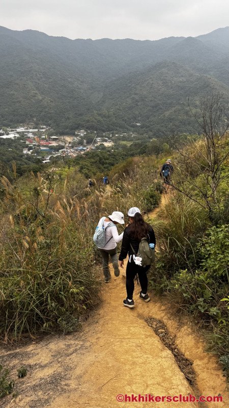 On the descent the trail turns rapidly to jungle like. Over grown and lots<br>of scratchy bushes so watch out for your legs. 