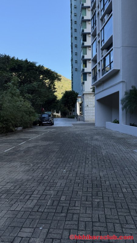 Look towards your right and search for the entrance to the path uphill