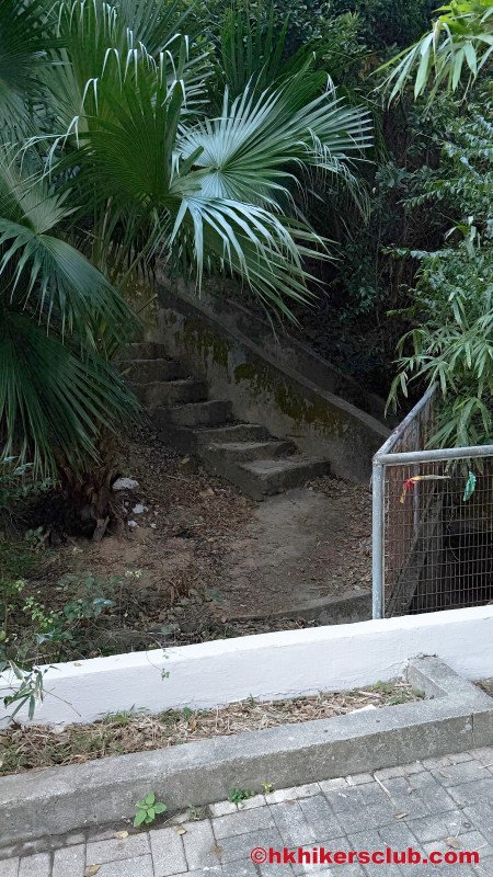 Right here next to where golf carts park, is a small entrance, you'll notice the stairs hidden in the trees and bushes. This is where we start.