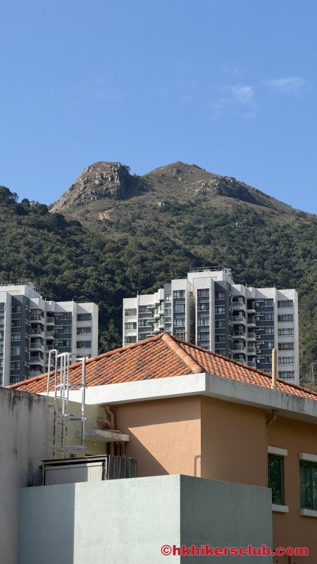 Nicely visible today the Tigers Head on looking right at us!