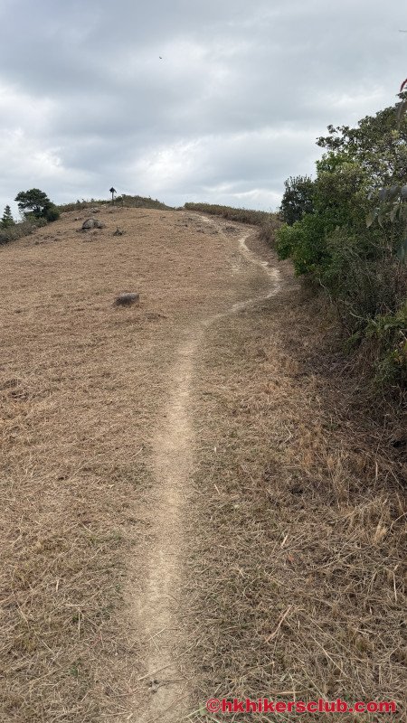 We left the Tigers Head in the direction of Mui Wo but we follow this path only for about 200 meter before we turn left and take a slightly hidden path.