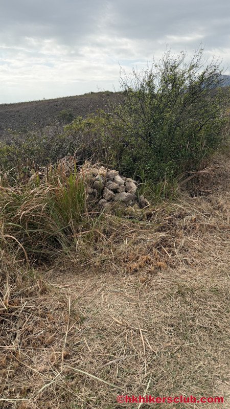 Look for this structure made out of small rocks, this marks the entrance to our path that we take to reach the reservoir. Turn left and follow the narrow path. This path can be slightly wild and overgrown with plants. Long pants are helping but aren't essential.