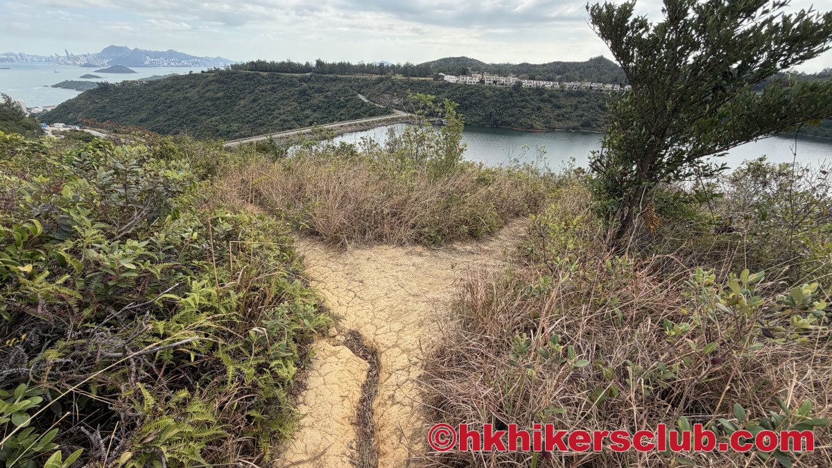Look out for this branch just short before reaching the reservoir. Take the right path as the left one is ugly and not recommended. 