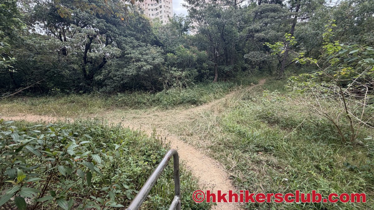 Turn right here to get to our last decent